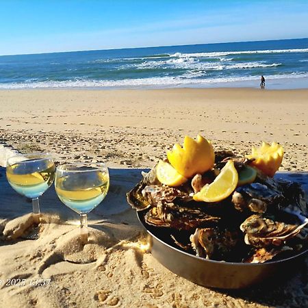 Les Bord'Oceanes Sauna & Spa Villa Marensine Et Villa Oyat Vielle-Saint-Girons Dış mekan fotoğraf